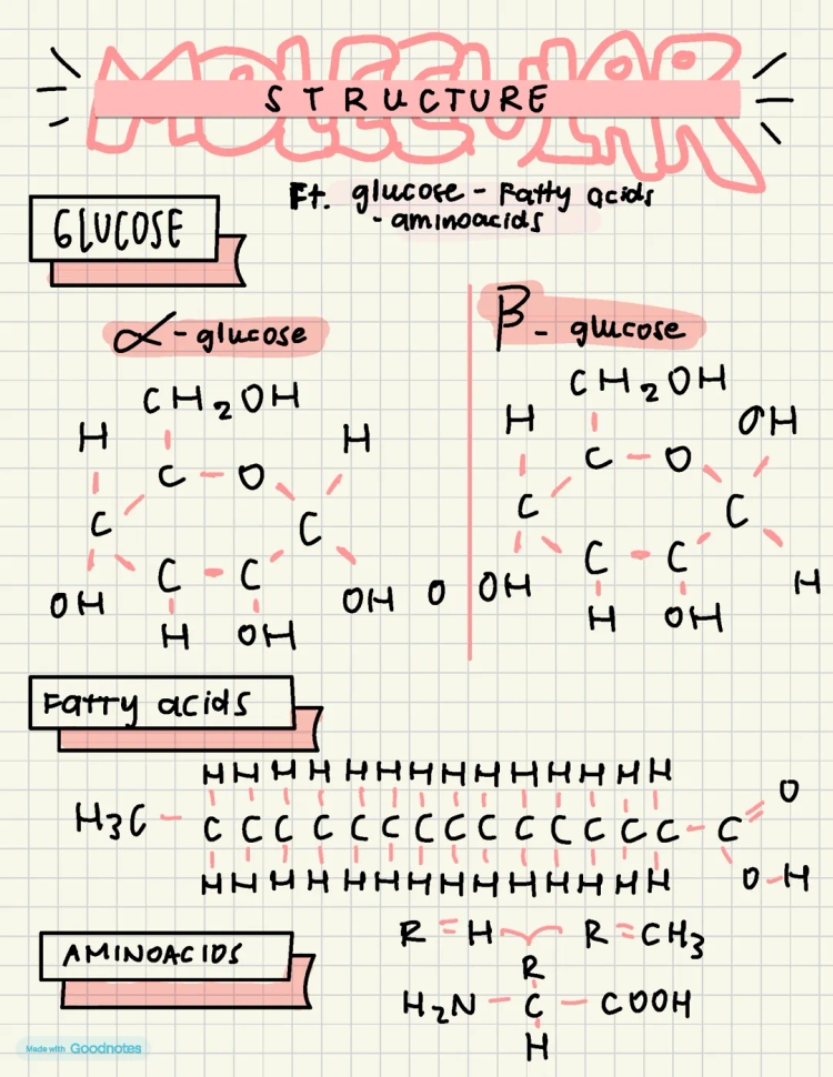 Glucose & Fatty Acid Structures: Easy Guide