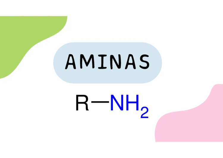 Qué son las aminas: Tipos, Estructura y Usos