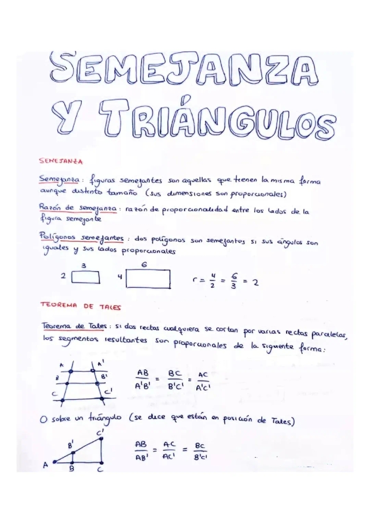 Semejanza de Triángulos: Ejercicios Resueltos y Formulas