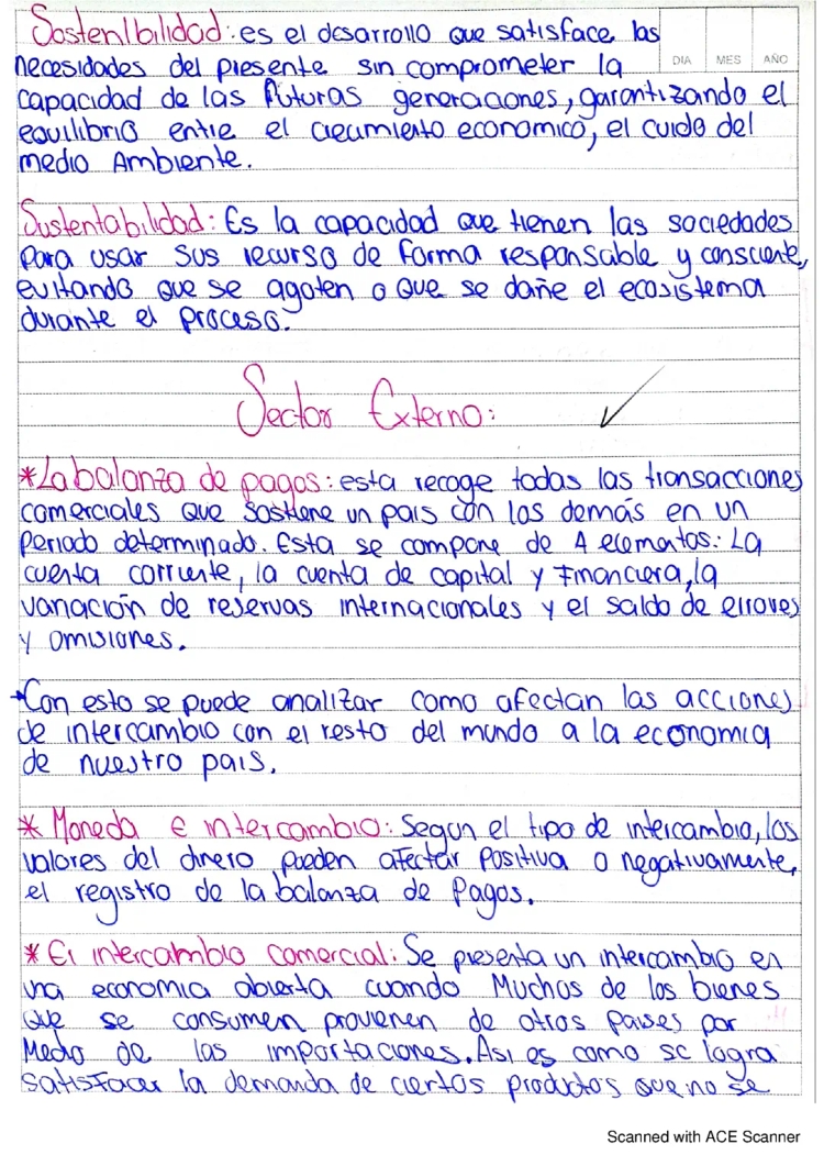 Sector Externo de la Economía y Dolarización: Ejemplos y Características