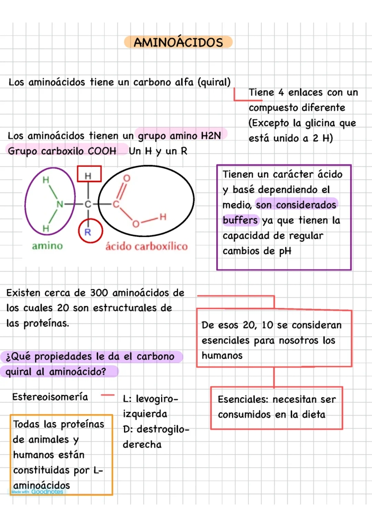 Propiedades y Funciones de los Aminoácidos: Esenciales y No Esenciales