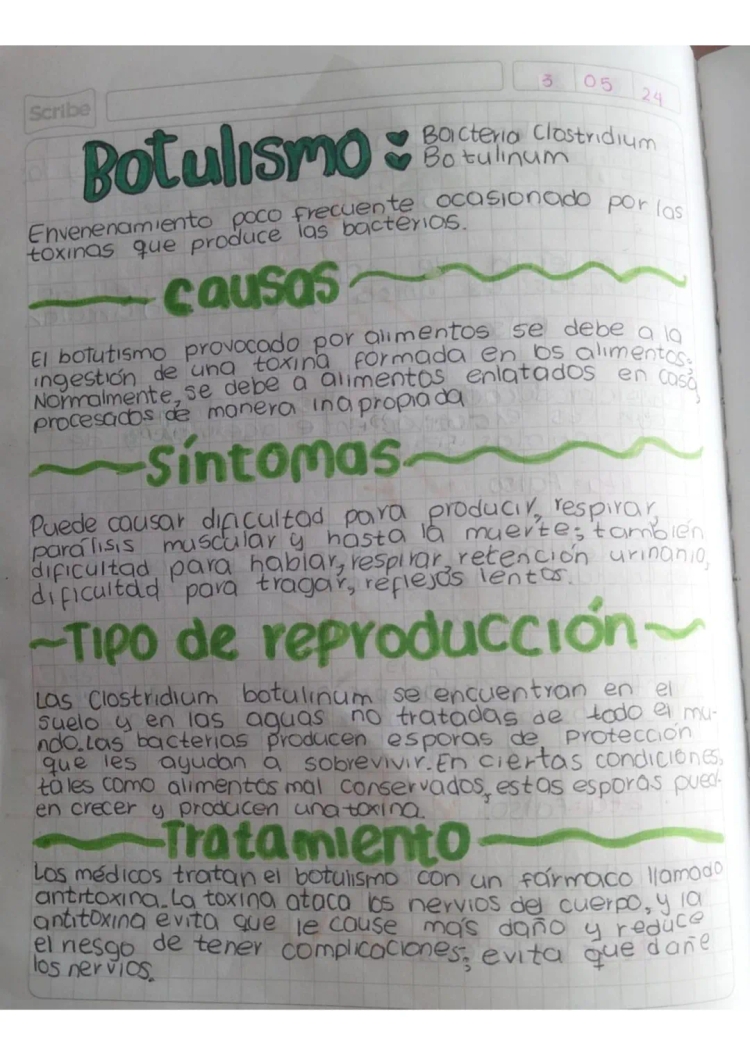 Tutto sul Botulismo: Causato da Clostridium Botulinum, Sintomi, Prevenzione e Trattamento