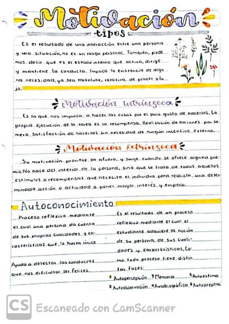 3 Tipos de Motivación y 10 Ejemplos de Motivación Personal para Niños