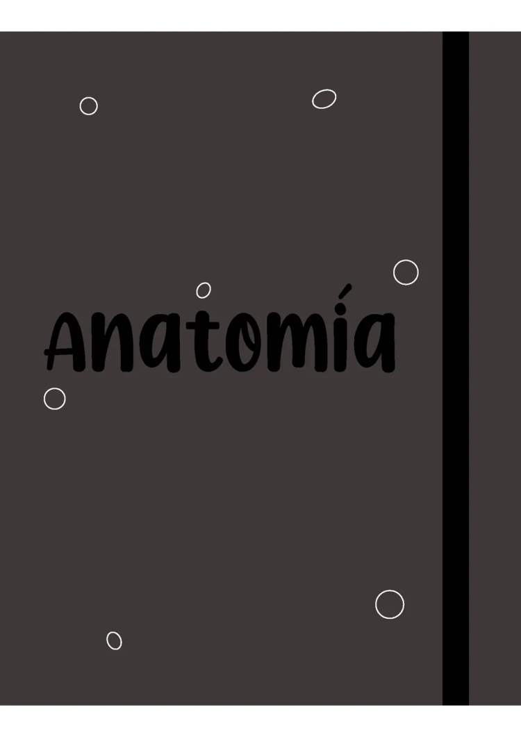 Introducción a la Anatomía Humana: Imágenes y Dibujos PDF Gratis