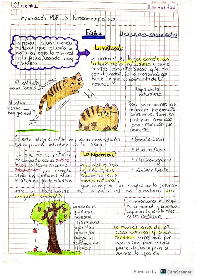 Conceptos Básicos de Física y Magnitudes - PDF