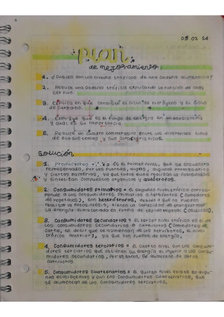 Niveles Tróficos y Ciclos del Carbono, Nitrógeno y Fósforo: Ejemplos y Dibujo