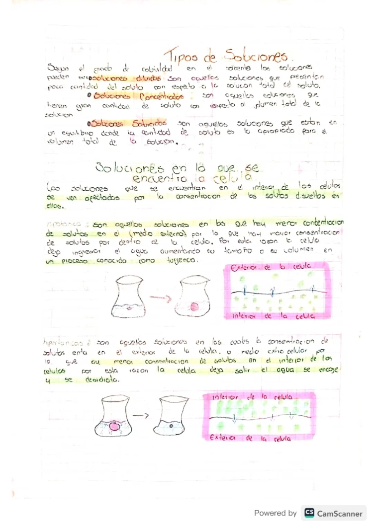 Soluciones Isotónicas, Hipotónicas e Hipertónicas y Gradiente de Concentración