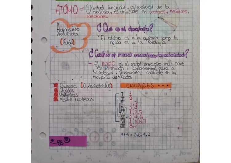 Bioelementos e Biomoléculas para Jovens Cientistas