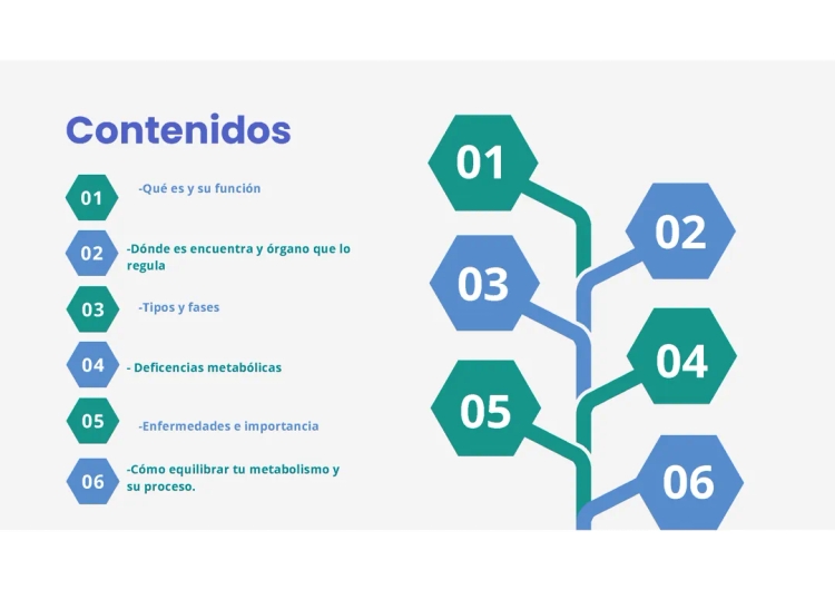 Cómo Acelerar el Metabolismo: ¡Anabolismo, Catabolismo y Más!