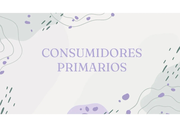 Consumidores Primarios, Secundarios y Terciarios en la Cadena Alimenticia - Ejemplos y Dibujos