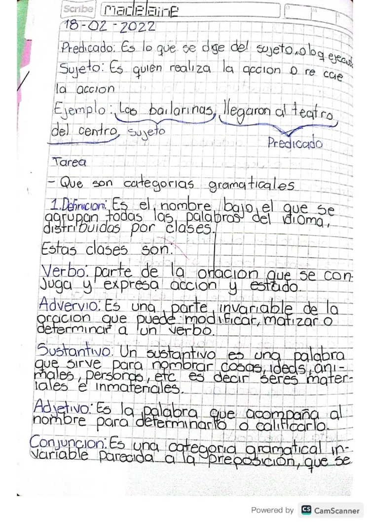 Clases y Ejemplos de Palabras y Acentos: Comunicación Verbal y No Verbal