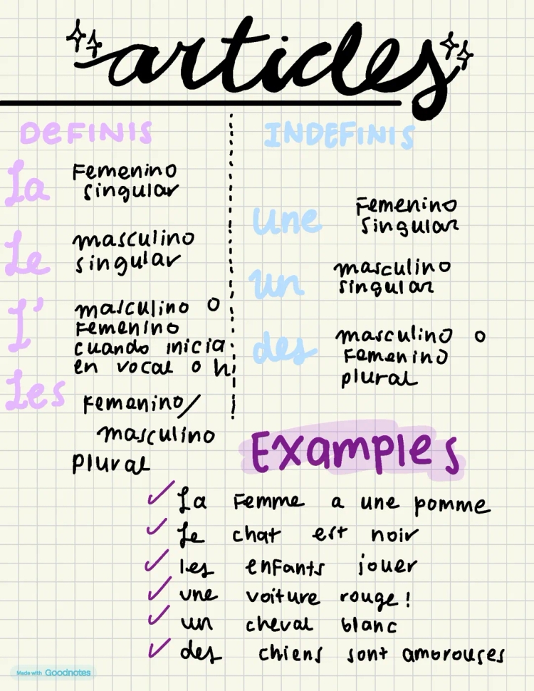 Todo sobre artículos definidos e indefinidos en francés: ejemplos y ejercicios