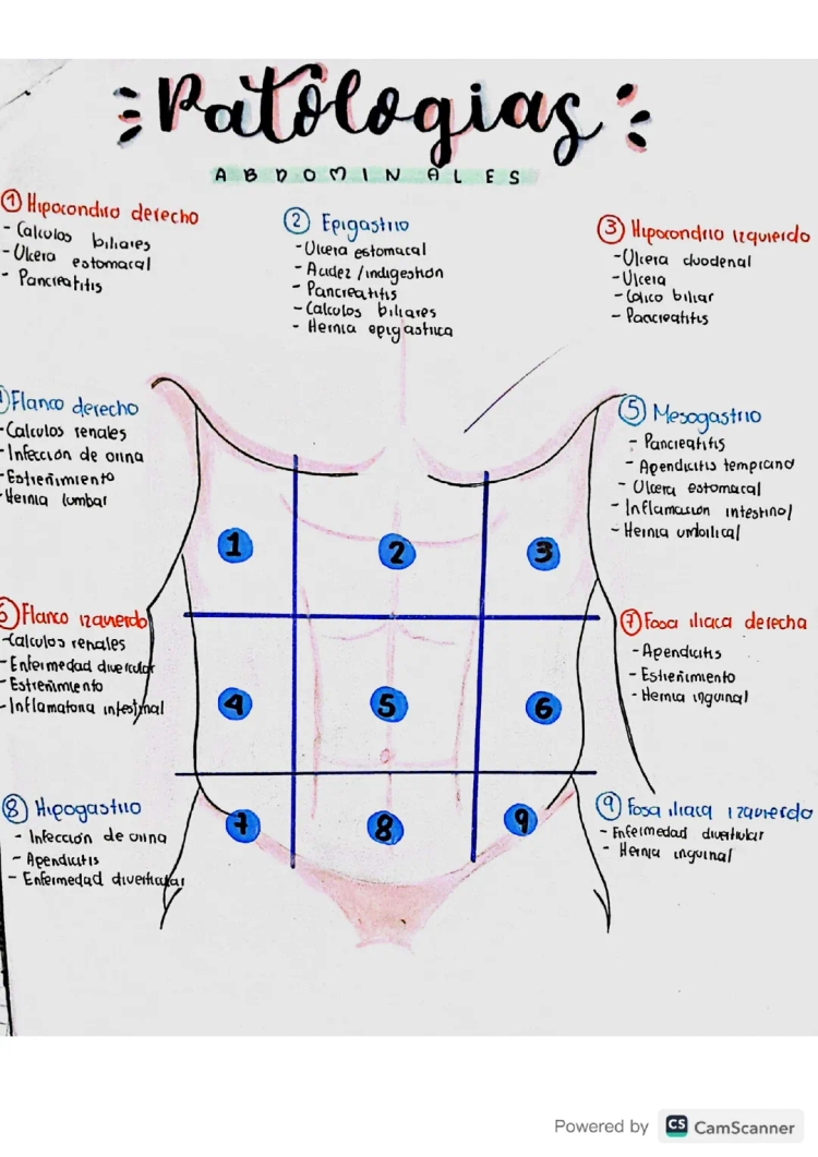 Dolores Abdominales y Pancreatitis: Causas y Tratamientos