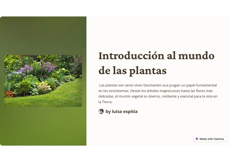 Adaptaciones de las Plantas y Fotosíntesis: Ejemplos y Dibujos para Niños