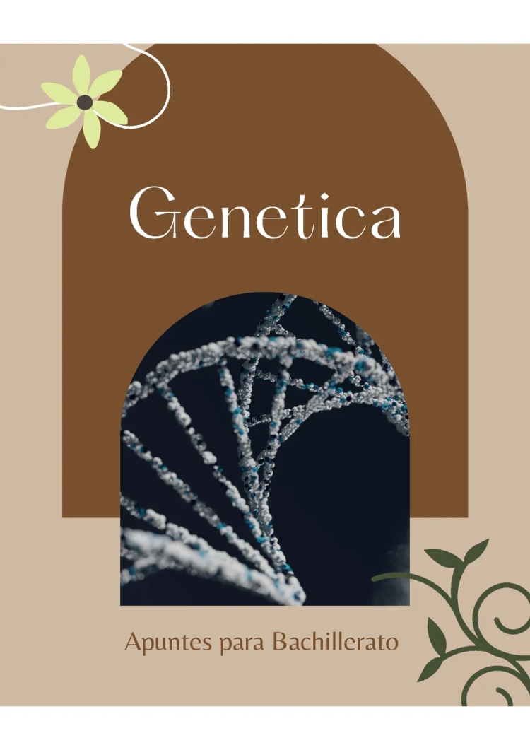 Mapa Conceptual de la Genética: ADN, Cromosomas y Herencia