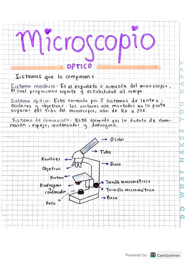 Partes y Funciones del Microscopio Óptico y Compuesto