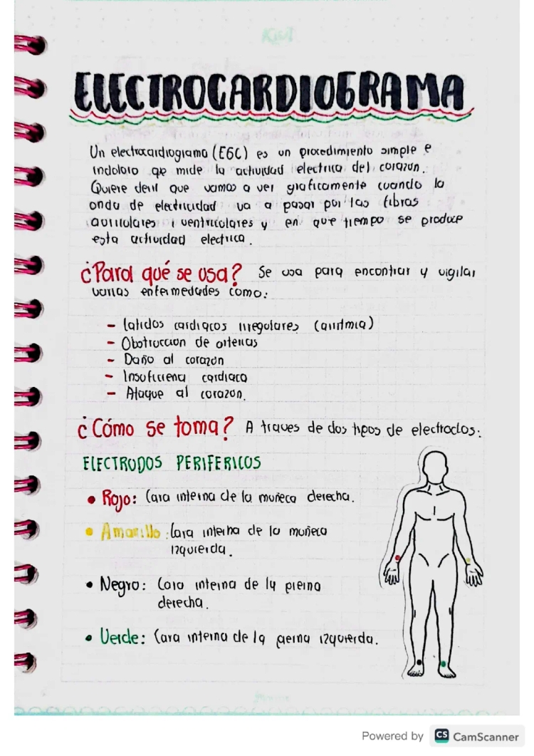 How to Do an Electrocardiogram: Steps and Tips for Kids