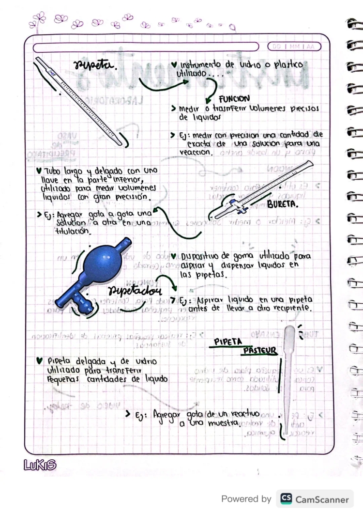 70 Instrumentos de Laboratorio y Sus Funciones: Nombres y Dibujos