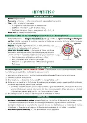 ¿Cómo se Contagia la Hepatitis B? Síntomas y Tratamiento Fácil