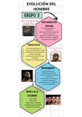 Evolución del Hombre: Línea del Tiempo y Resumen