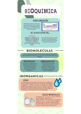 Descubre las Biomoléculas y Bioelementos: ¡Súper Importantes y Divertidos!