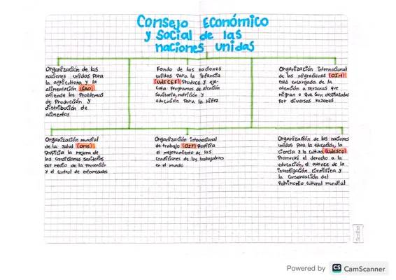 Descubre el ECOSOC: Miembros, Funciones y Más