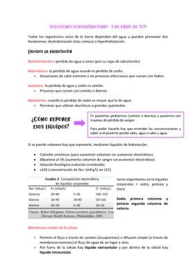 Quimica: soluciones y concentraciones 