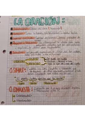 Todos los tipos de oraciones y párrafos - Ejemplos para primaria