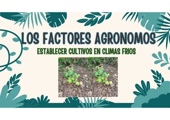 Descubre 5 Cultivos y 10 Frutas de Clima Frío en Colombia