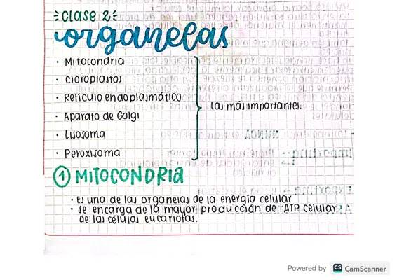 Biología grado 10 y 11 - Organelas celulares