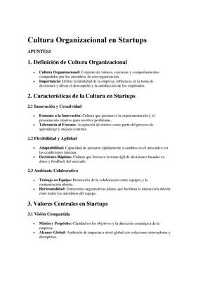 Cultura Organizacional en Startups