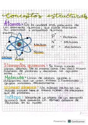 Conceptos estructurales 