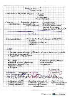 Negocios internacionales 