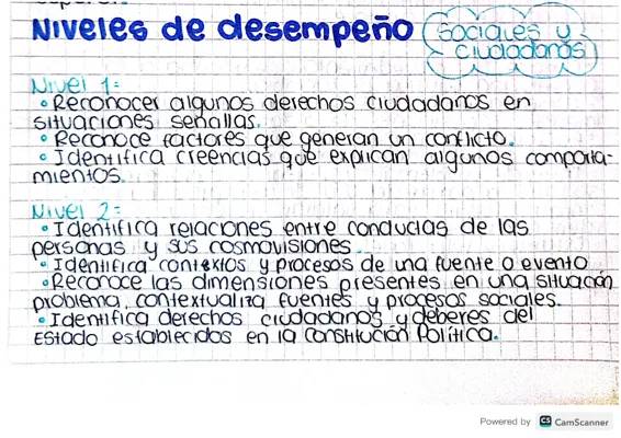 NIVELES DE DESEMPEÑO - SOCIALES Y CIUDADANAS