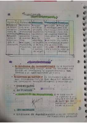 ¿Qué Son las Mutaciones Cromosómicas y Ejemplos de Síndrome de Klinefelter?