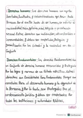 Derechos humanos y derechos fundamentales 