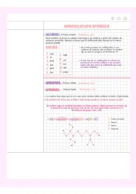 Nomenclatura de Compuestos Orgánicos: Ejercicios Resueltos y Reglas IUPAC