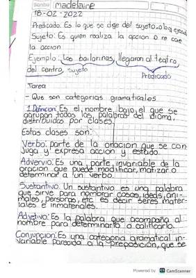 Clases y Ejemplos de Palabras y Acentos: Comunicación Verbal y No Verbal