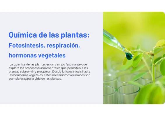 Química de las plantas: 