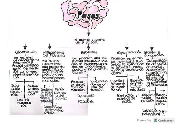 Mapa Conceptual del Método Científico para Niños: Pasos y Ejemplos Divertidos