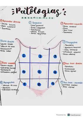 Tipos de Dolor Abdominal y Pancreatitis para Niños