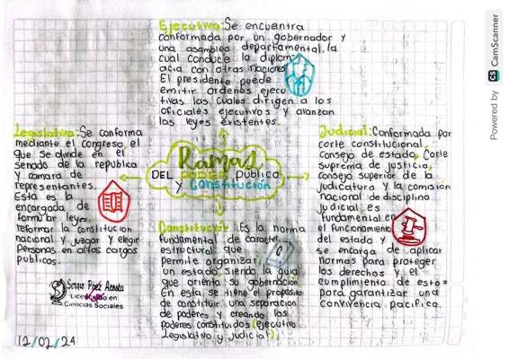 Ramas del poder público y constitucion