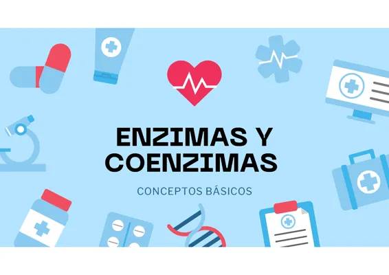 Tipos y Funciones de Enzimas y Coenzimas para Niños