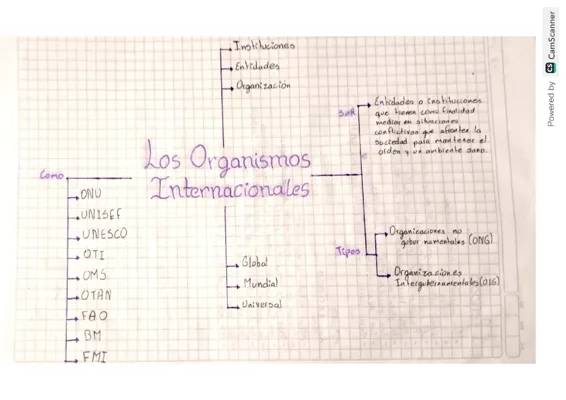 Organismos Internacionales 