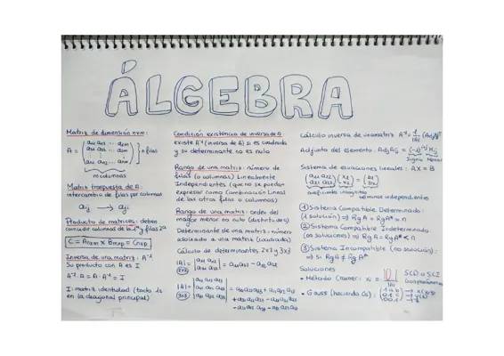 Aprende sobre Tipos de Matrices y Cómo Usarlas: Ejemplos y Operaciones Divertidas