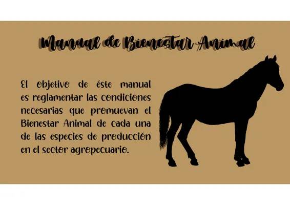 Guía para Transporte de Caballos y Ganado en Colombia: Normas y Bienestar Animal