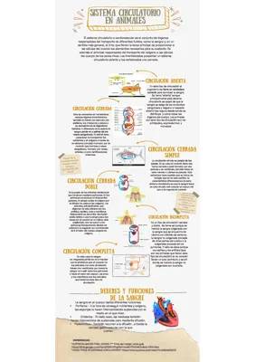 Descubre el Sistema Circulatorio: Abierto y Cerrado en Animales