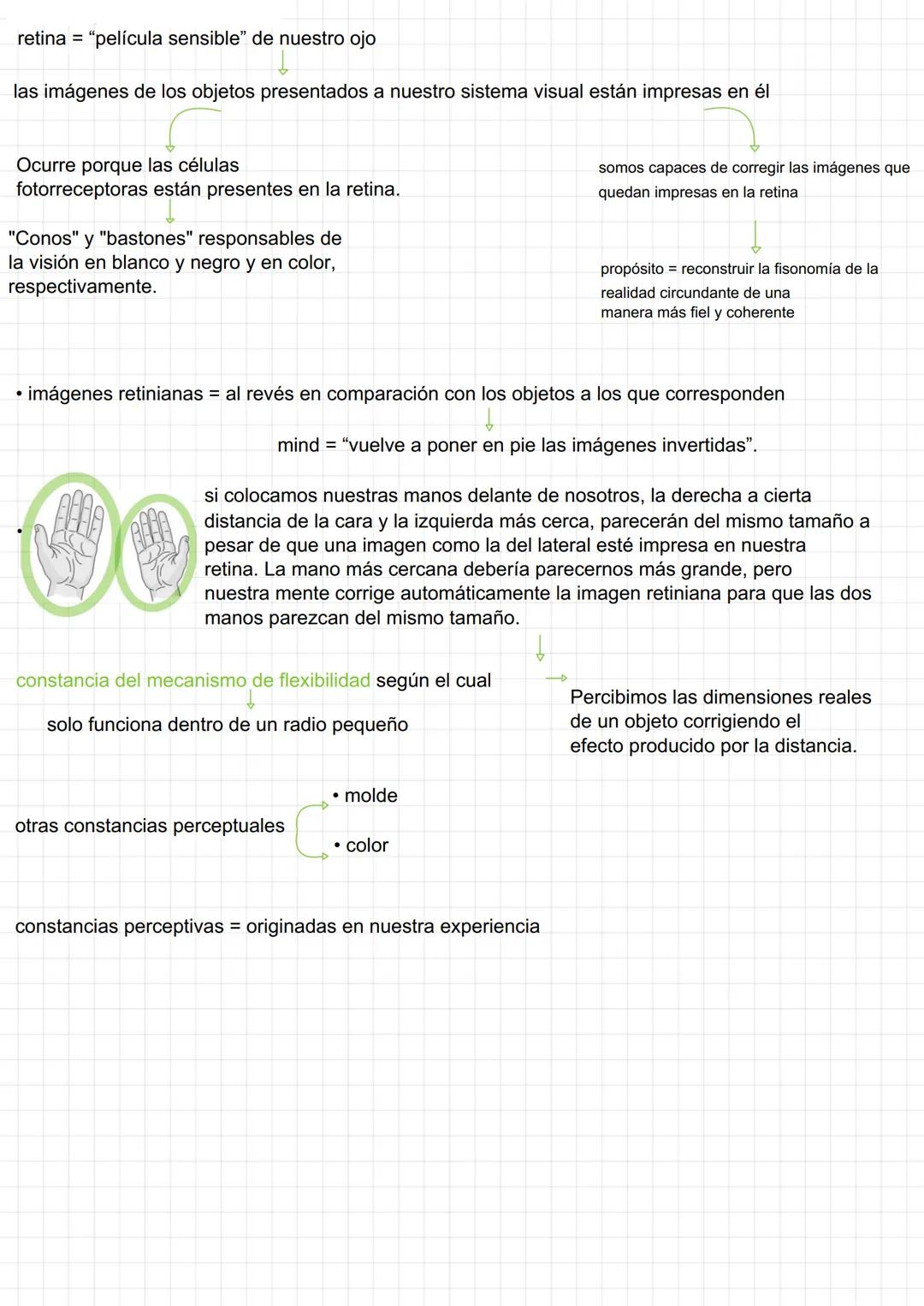 # la percepción

sentido común = mecanismo con el que captamos la realidad circundante introduciéndola, con sus características y
cualidades