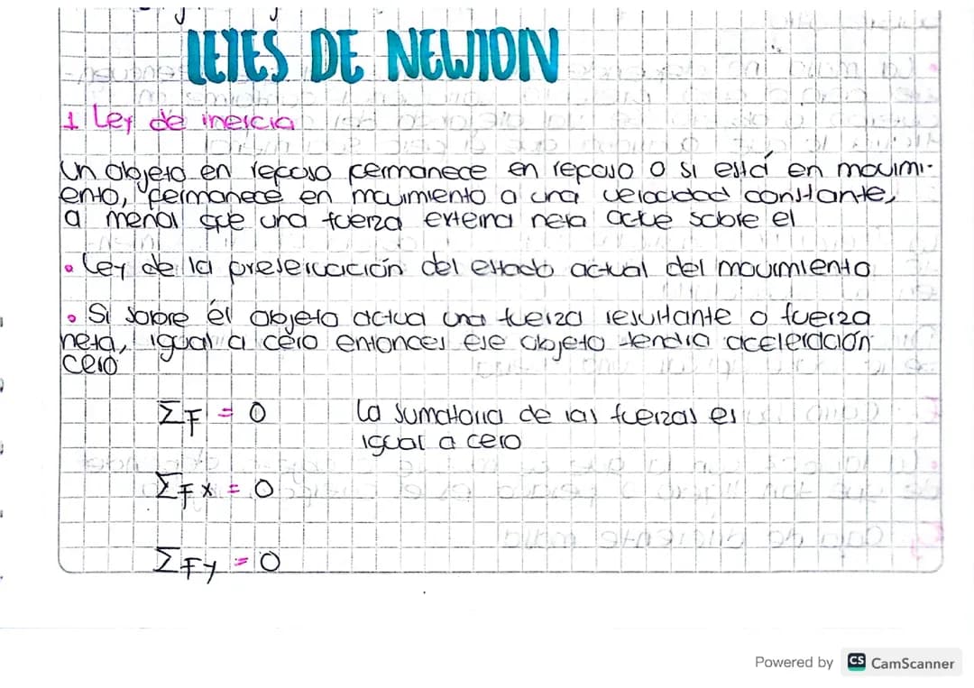 LEYES DE NEWTON