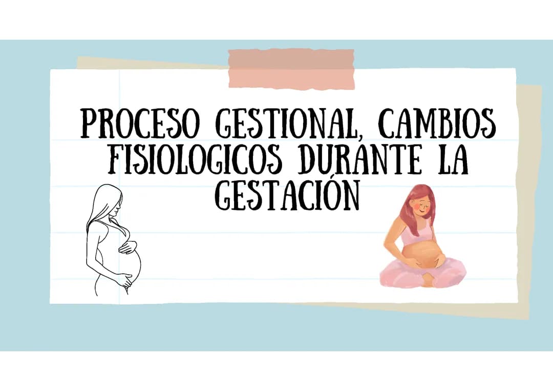 Proceso gestacional y cambios fisiológicos durante la gestación.